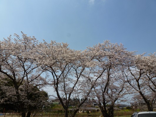 a0228333_22471639.jpg