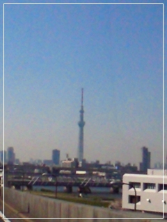 d0140133_22382754.jpg