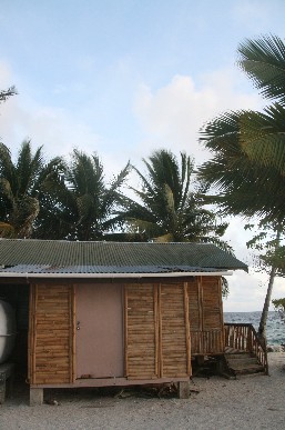 d0140533_21595461.jpg