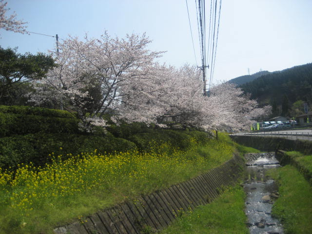 b0166435_22381357.jpg