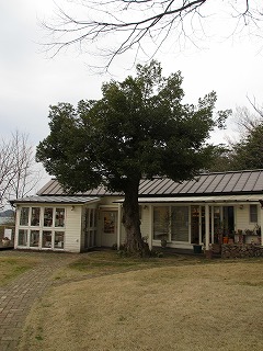 d0125335_113241.jpg