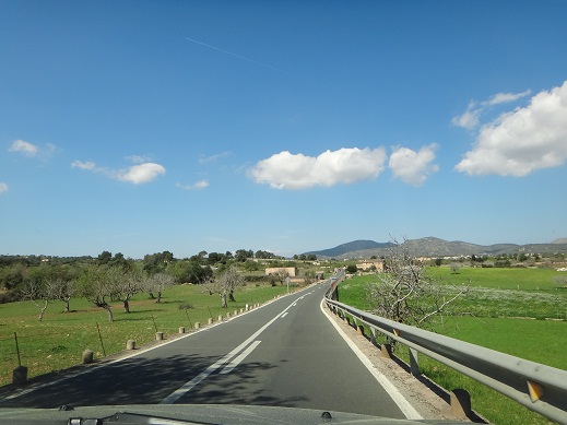 e0238838_0164594.jpg