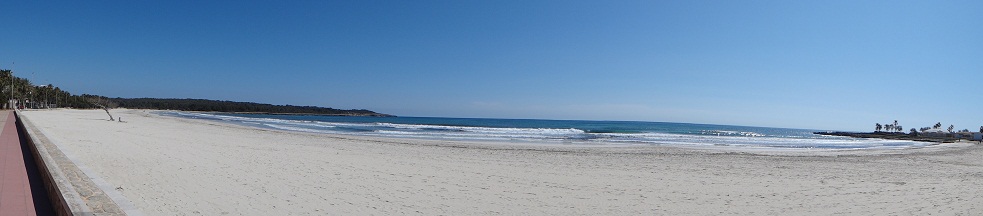e0238838_074383.jpg