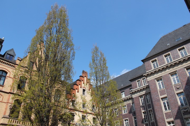 c0153740_18284162.jpg