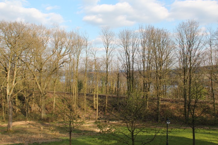c0153740_19192781.jpg
