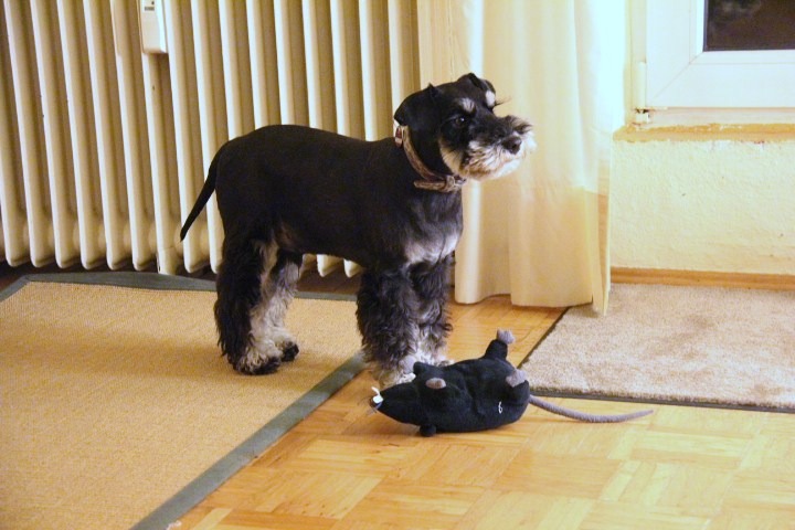c0153740_4171061.jpg