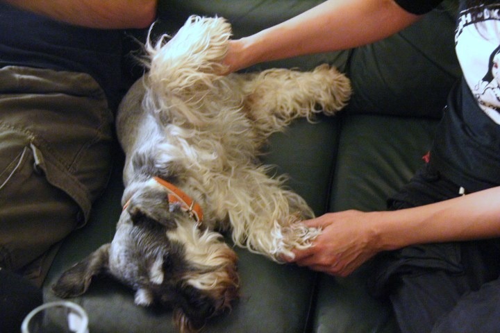 c0153740_418228.jpg