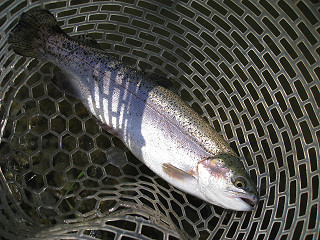 f0065341_21285665.jpg