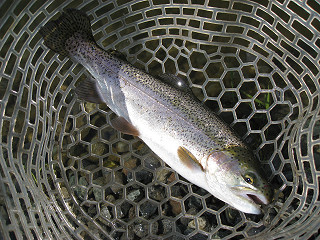 f0065341_21291037.jpg