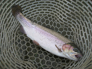 f0065341_21292453.jpg
