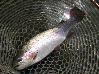f0065341_213073.jpg