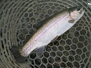 f0065341_21323367.jpg