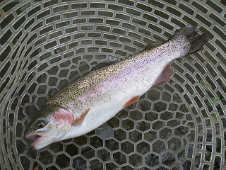 f0065341_21324923.jpg