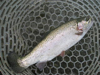 f0065341_2133790.jpg