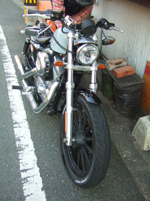 a0161744_0571322.jpg