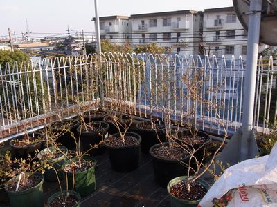 d0022845_23382845.jpg