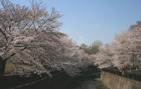 e0082045_1653776.jpg