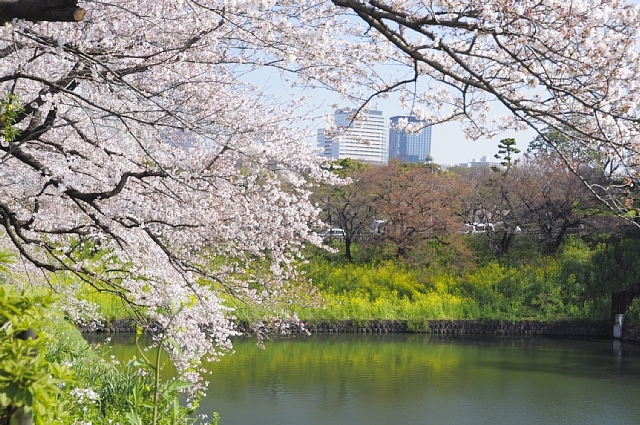 b0122448_10335863.jpg