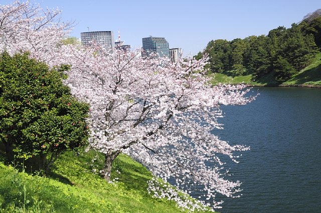 b0122448_10354577.jpg