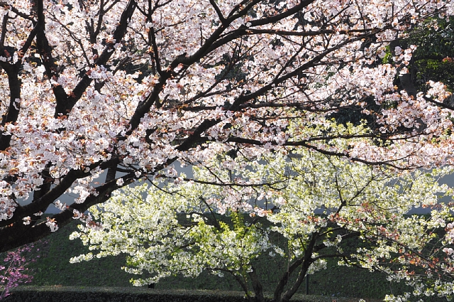 b0122448_10373277.jpg