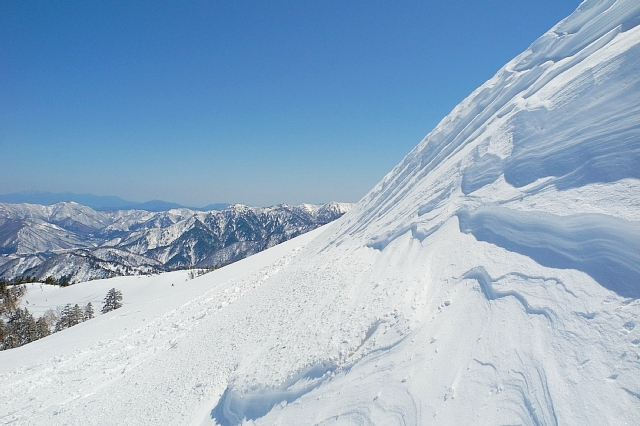 b0122448_11443914.jpg