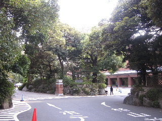 d0063149_18591495.jpg
