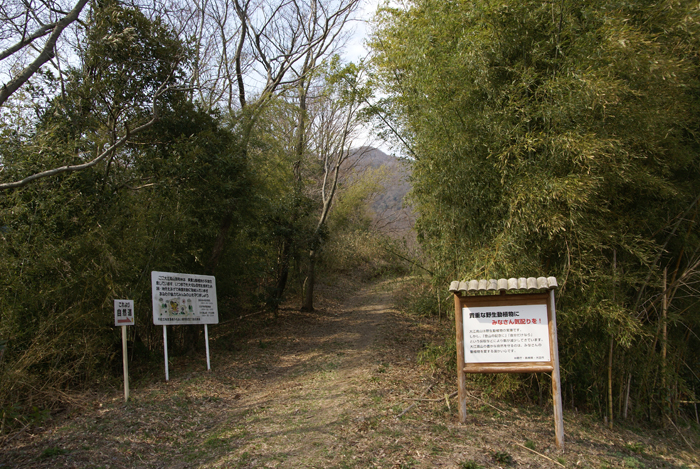 f0214649_5111716.jpg