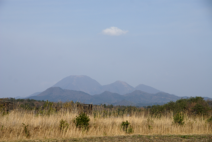 f0214649_517035.jpg