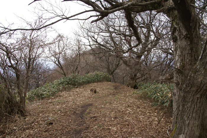 f0214649_52144.jpg