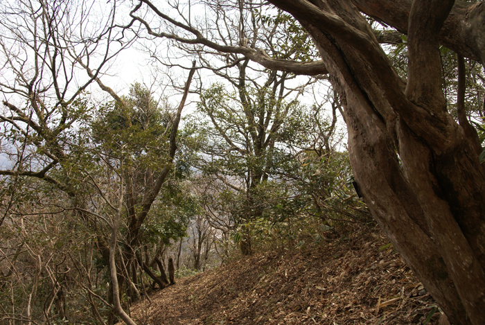 f0214649_564863.jpg