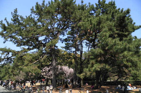 a0024250_2334653.jpg