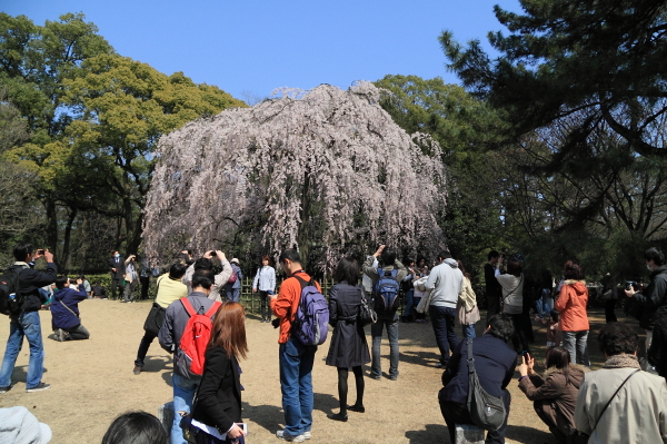 a0024250_23382363.jpg