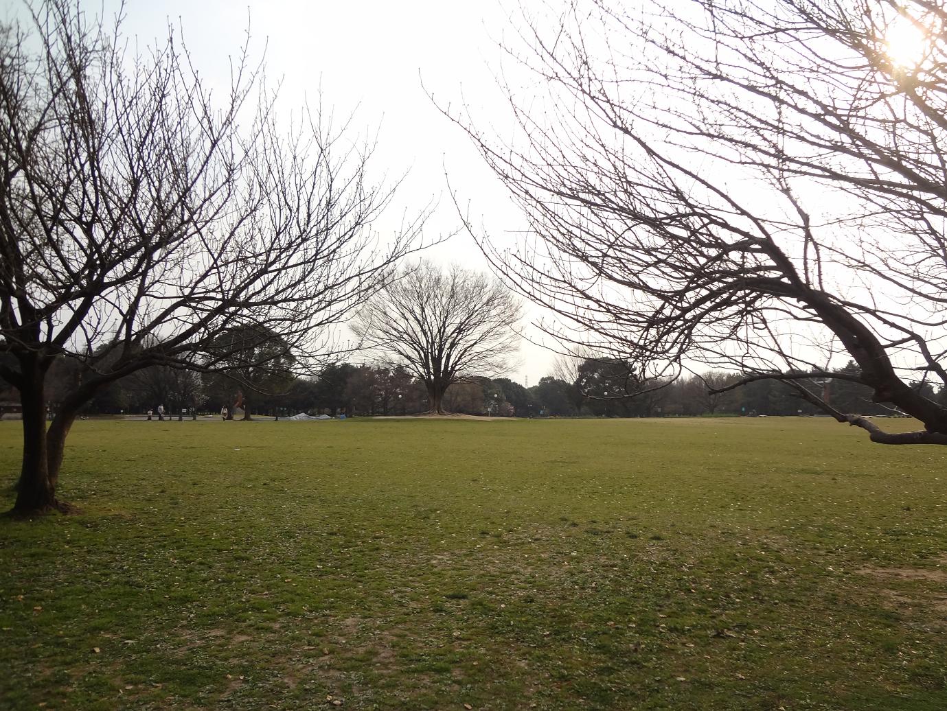 a0055650_2230834.jpg