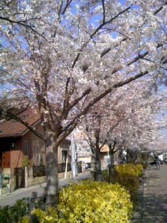 c0110550_938915.jpg