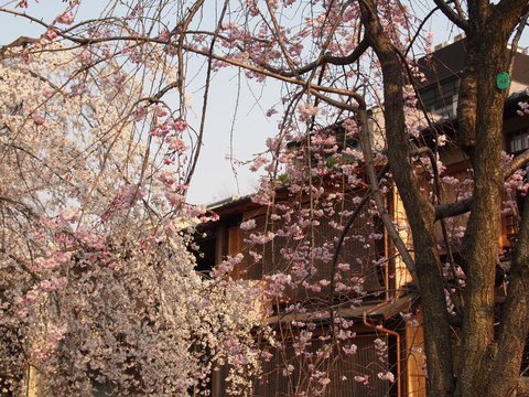 a0212656_81181.jpg