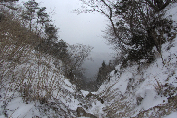 f0007956_18124374.jpg