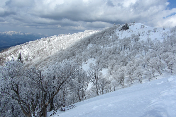 f0007956_1825919.jpg