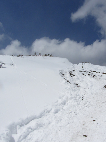 f0007956_1845695.jpg