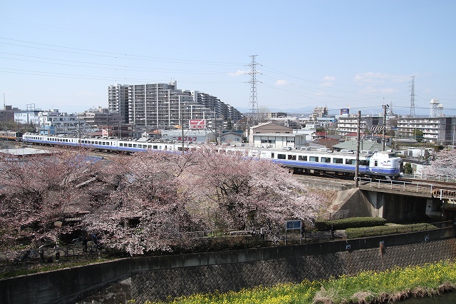b0002858_13354100.jpg