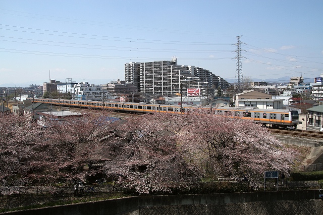 b0002858_1364879.jpg