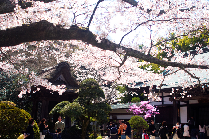 f0176458_1841994.jpg