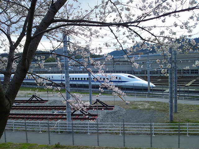 c0139966_636125.jpg