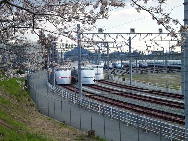 c0139966_6363234.jpg