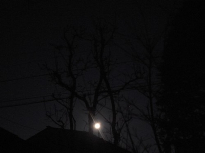 c0166668_6382248.jpg