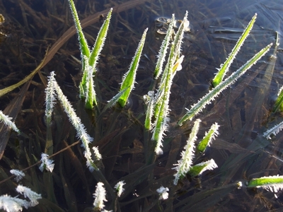 c0166668_6445366.jpg