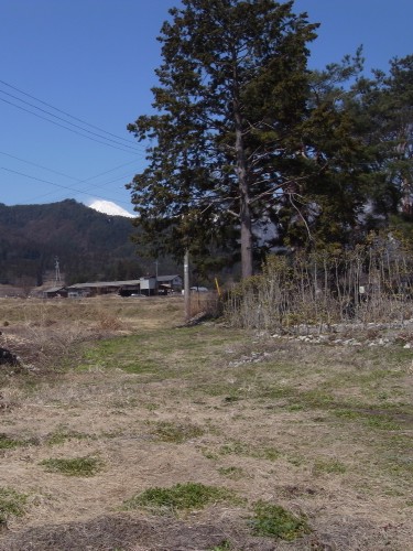 c0166668_6511585.jpg