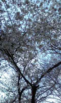 f0140174_0552577.jpg