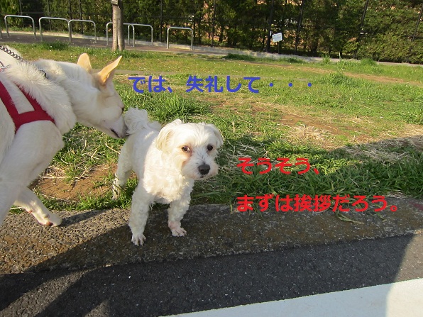 a0132275_14265035.jpg