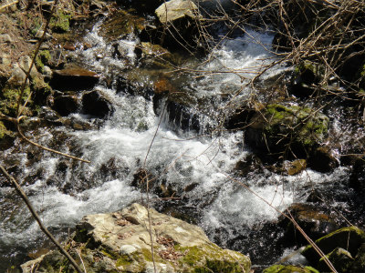 d0182075_4213348.jpg