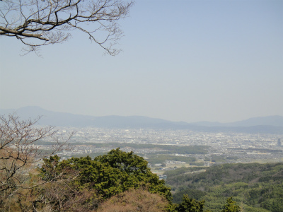 d0182075_448210.jpg